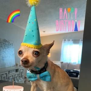 Meet your Posher, Chili